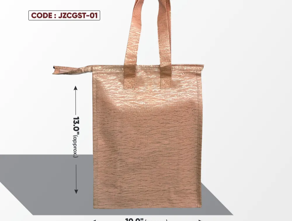 Cream with Golden Stripes Zipper Bag & Cream Handle