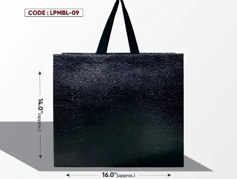 Leather Paper Look Medium Black Bag with Black Handle