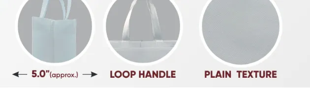 Close-ups of the gusset, handle and texture of White Bag with White Handle