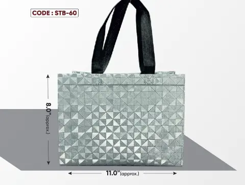 Silver Triangle Bag with Black Handle