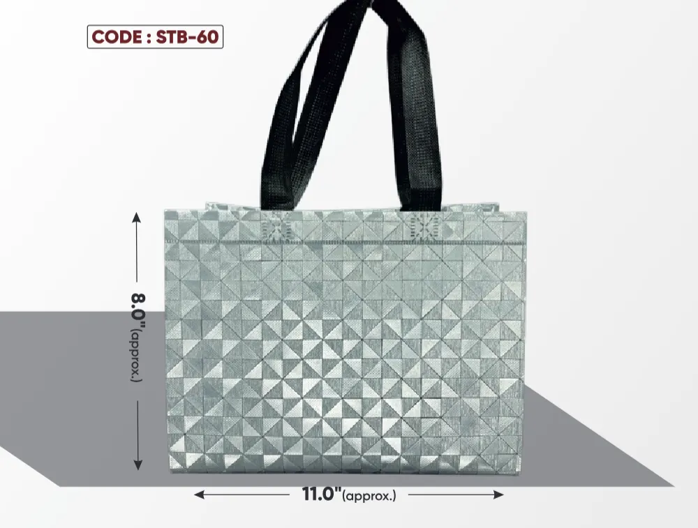 Silver Triangle Bag with Black Handle