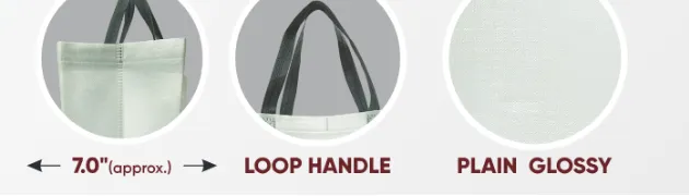 Close-ups of the gusset, handle and texture of White Big Anarkali Plain Glossy Bag with Grey Handle